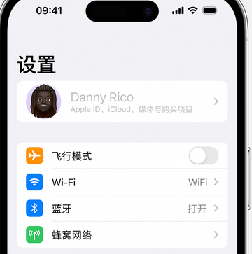 个旧appleID维修服务iPhone设置中Apple ID显示为灰色无法使用 