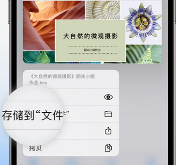 个旧apple维修中心分享iPhone文件应用中存储和找到下载文件