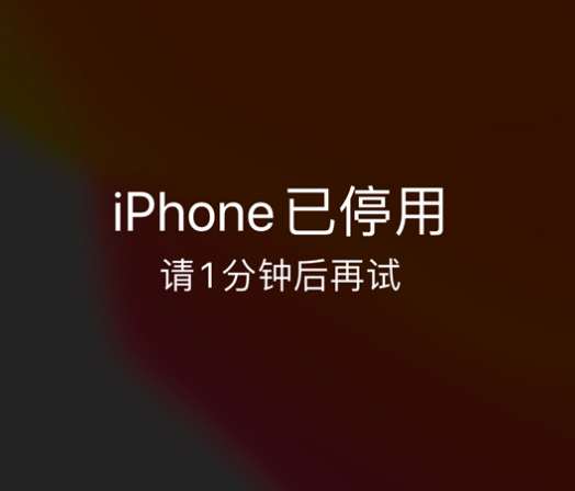 个旧苹果手机维修分享:iPhone 显示“不可用”或“已停用”怎么办？还能保留数据吗？ 