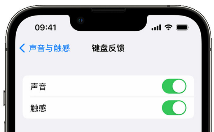 个旧苹果手机维修分享iPhone 14触感键盘使用方法 