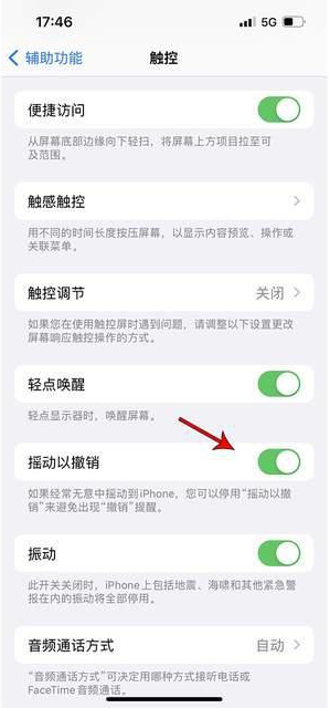 个旧苹果手机维修分享iPhone手机如何设置摇一摇删除文字 